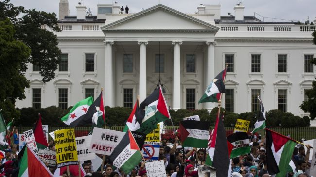 Over 30,000 protesters rally against Israel outside White House 